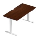 Trudie Walnut Electric Standing Desk